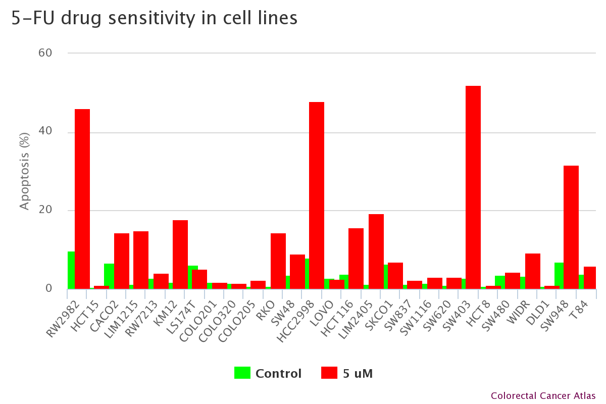 Cell line 5fu drug sensitivity
